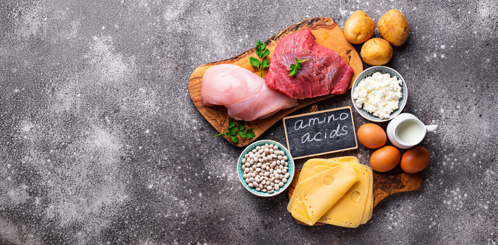 The Amino Acid Protocol 1 | The Parkinson's Plan