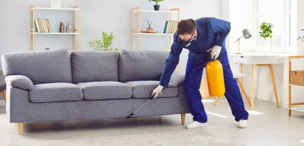 Pest control technician in blue uniform spraying a gray sofa in a bright living room with a yellow canister.